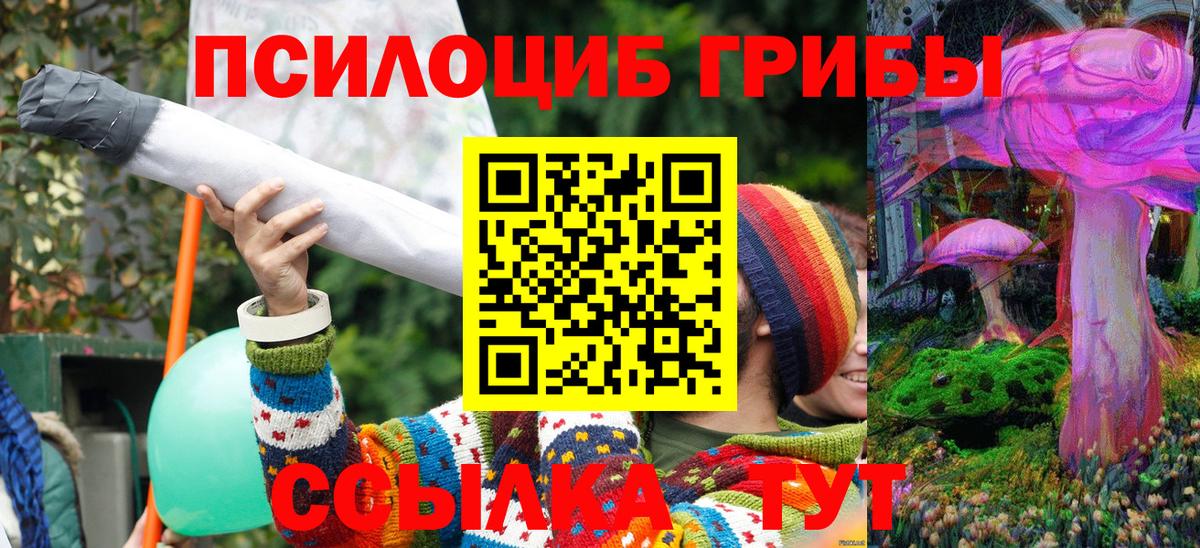 Галлюциногенные грибы ЛСД  Галлюциногенные грибы мицелий  Славянск-на-Кубани  Вход с VPN 